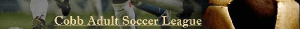 Georgia Soccer banner
